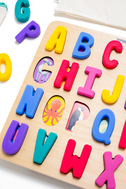 ABC Find & Fit Puzzle